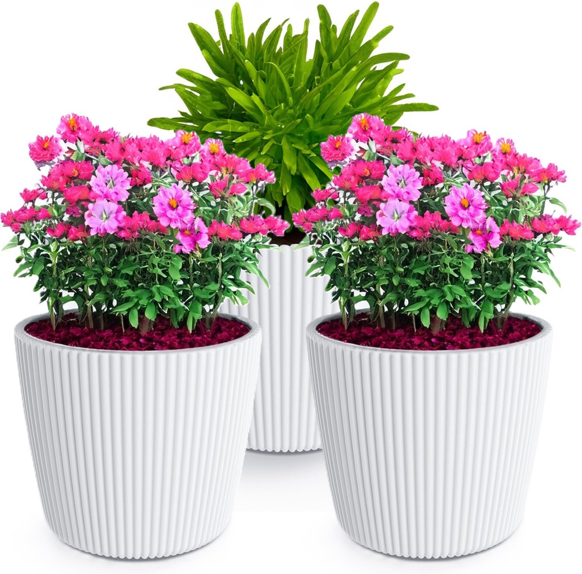 Prosperplast Plantenpot bloempot Buckingham 3x buiten binnen ivoor wit D14 x H13 cm