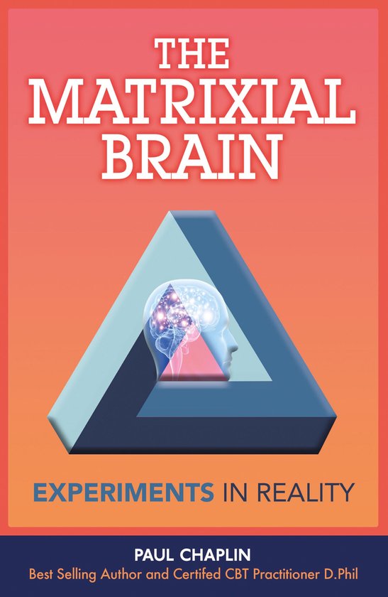 The Matrixial Brain - cover