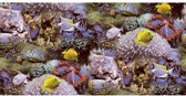 Papier Peint Good Vibes Coral et Poissons Tropical jaune et violet