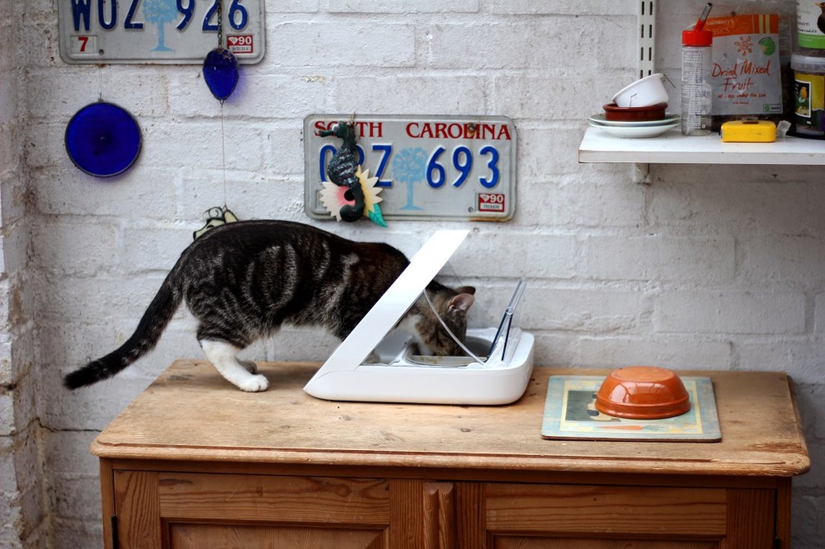 SureFeed Microchip Voerautomaat - Voerbak Kat 30x23x22cm thumbnail 4