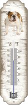 Thermometer: Engelse Buldog | Hondenras | Temperatuur binnen en buiten | -25 tot +45C
