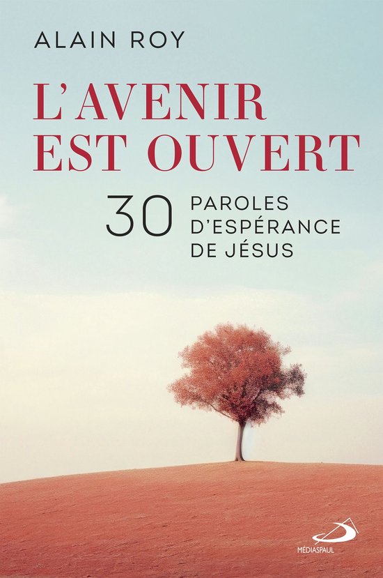 Avenir est ouvert (L')