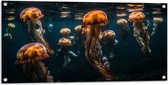 Tuinposter – Kwallen - Zee - Oceaan - Dieren - Groep - 100x50 cm Foto op Tuinposter (wanddecoratie voor buiten en binnen)
