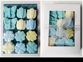 Zeepjes - 12 stuks - vlinder - tulp - bloem - zeep - cadeau - vensterdoosje - blauw - groen - geel