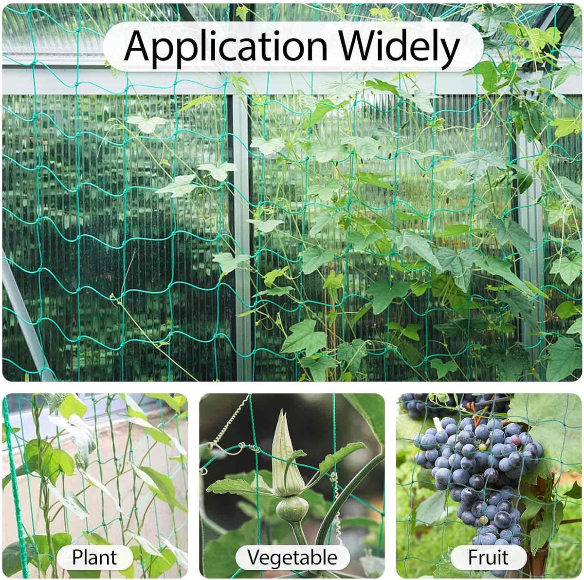 Plant Net, 2.5 m x 2 m / 2 m, Large Mesh Net - Premium Trellis Net with 50 Pieces of Binding - Climbing Aid - Tomatoes, Cucumbers and Climbing Plants for Garden and Greenhouse Accessories