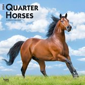 Quarter Horse Kalender 2024
