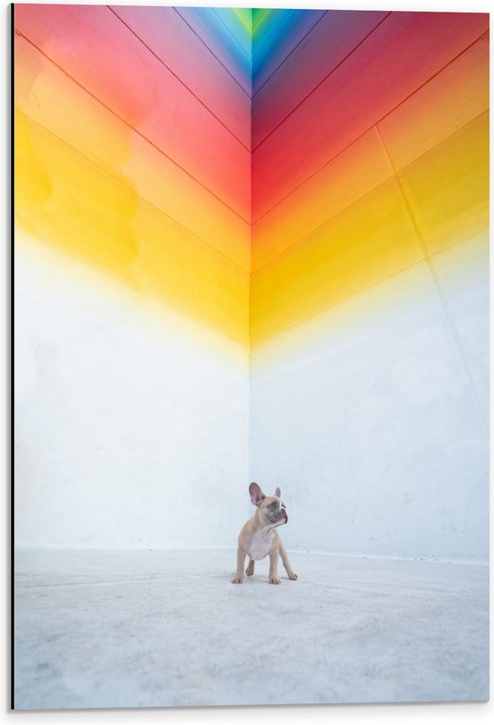 WallClassics - Dibond - Puppy onder Regenboog Street Art - 40x60 cm Foto op Aluminium (Met Ophangsysteem)