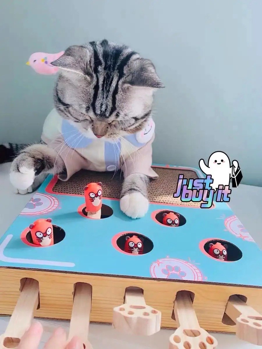 Ram de Mol - Katten speelgoed - Katten plezier - Kattenspeeltje