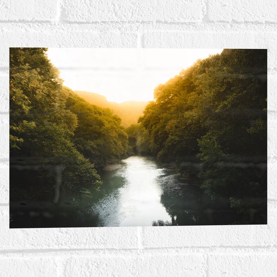 Muursticker - Kalme Rivier tussen Bossen bij Zonsopkomst - 40x30 cm Foto op Muursticker