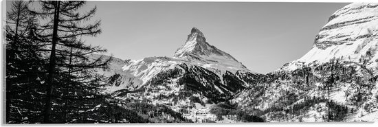 WallClassics - Acrylglas - Grote Boom voor Sneeuwbergen (zwart/ wit) - 60x20 cm Foto op Acrylglas (Met Ophangsysteem)