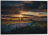 Dibond - Groen Landschap onder Zonsondergang - 40x30 cm Foto op Aluminium (Met Ophangsysteem)