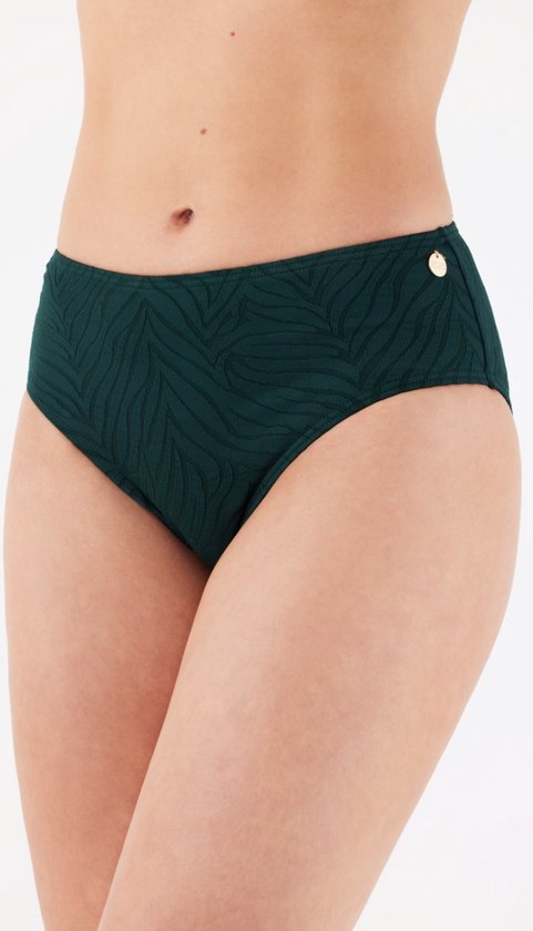 Ordelijk natuurkundige Automatisch ten Cate Beach bikinibroekje jacquard zebra green voor Dames | Maat 40 |  bol.com