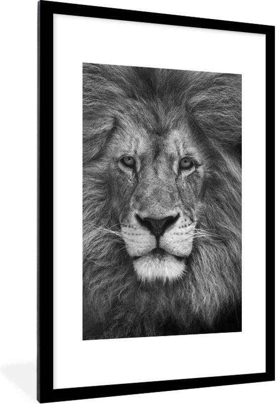 Dierenprofiel Perzische leeuw in zwart-wit