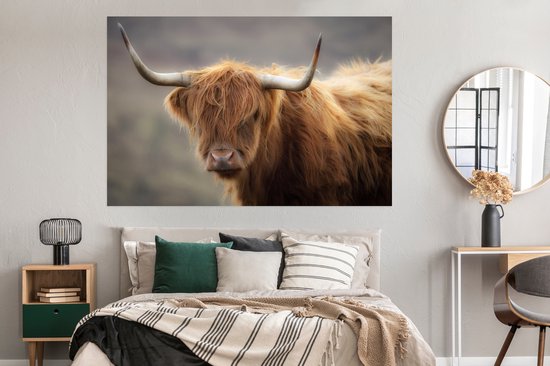 Close up of a Scottish Highlander Poster 180x120 cm - Tirage photo sur Poster (décoration murale salon / chambre) / Poster Animaux sauvages XXL / Grand format!