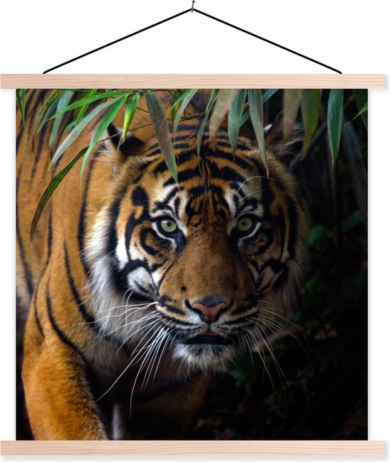 Porte-affiche avec affiche - Affiche scolaire - Tigre - Feuilles - Jungle - Animaux - Sauvage - 40x40 cm - Lattes transparentes