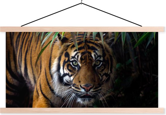 Porte-affiche avec affiche - Affiche scolaire - Tigre - Feuilles - Jungle - Animaux - Sauvage - 90x45 cm - Lattes transparentes