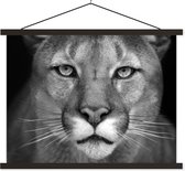 Porte-affiche avec affiche - Affiche scolaire - Panthère - Animaux sauvages - Zwart - Wit - 40x30 cm - Lattes noires