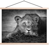 Porte-affiche avec affiche - Affiche scolaire - Animaux sauvages - Lion - Nature - Zwart - Wit - 120x90 cm - Lattes vierges
