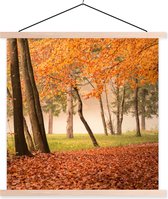 Porte-affiche avec affiche - Affiche scolaire - Feuilles - Automne - Forêt - 120x120 cm - Lattes vierges