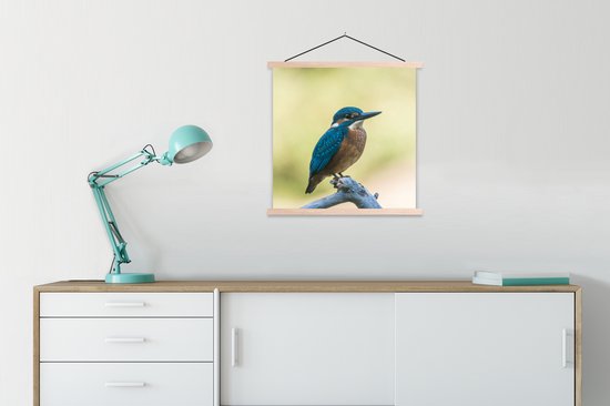 Support pour affiches avec affiche 90x90 cm - Affiche scolaire - Martin-pêcheur - Branche - Vogel - Affiche textile - Lattes vierges