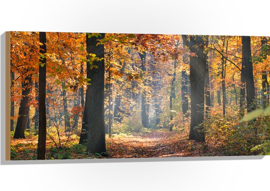 Hout - Bos met Oranje Blaadjes in de Herfst - 100x50 cm - 9 mm dik - Foto op Hout (Met Ophangsysteem)