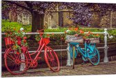 WallClassics - Acrylglas - Rode en blauwe Fiets met Bloemen bij wit Hek voor de Gracht - 120x80 cm Foto op Acrylglas (Met Ophangsysteem)