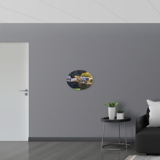 WallClassics - Panneau en mousse PVC ovale - Petit avion de chasse gris - Photo 56 x 42 cm sur ovale (avec système de suspension)