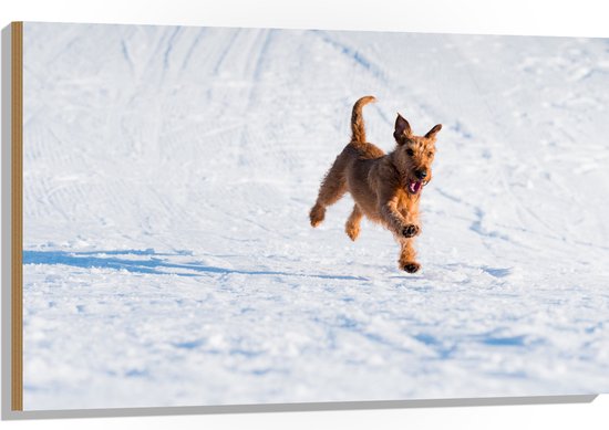WallClassics - Bois - Chien marron courant dans la neige - 105x70 cm - 9 mm d'épaisseur - Photo sur bois (avec système de suspension)