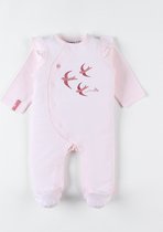 Noukie's - Pyjama - Roze - Katoen - Vogels - 1 maand 56