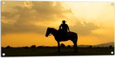 Tuinposter – Silhouet van Cowboy op zijn Paard tijdens Mooie Zomerse Zonsondergang - 100x50 cm Foto op Tuinposter (wanddecoratie voor buiten en binnen)