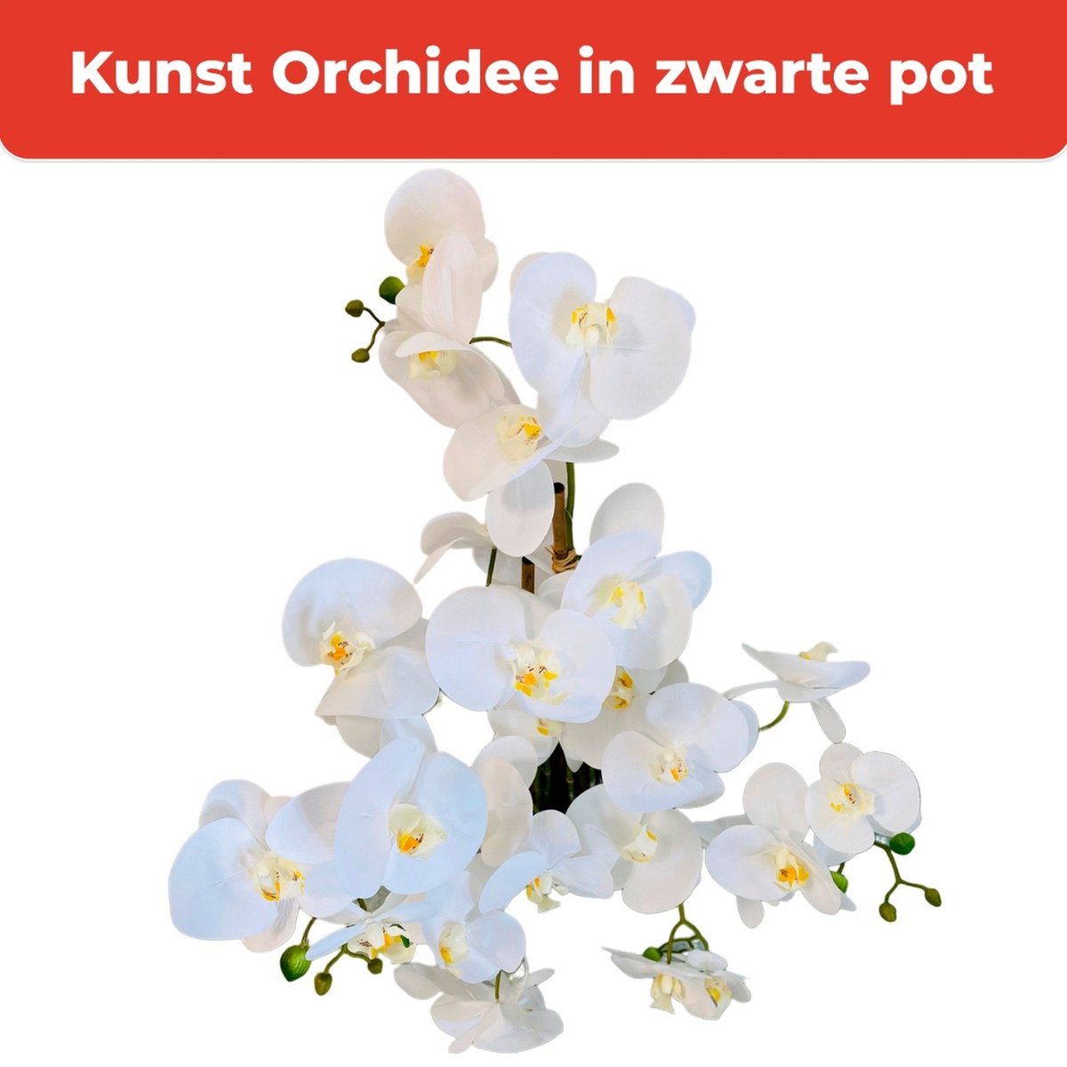 Grande orchidée blanche artificielle 65 cm - Orchidées artificielles  géantes - Artiplantes