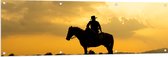 Tuinposter – Silhouet van Cowboy op zijn Paard tijdens Mooie Zomerse Zonsondergang - 150x50 cm Foto op Tuinposter (wanddecoratie voor buiten en binnen)
