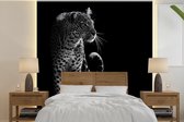 Behang - Fotobehang Wilde dieren - Luipaard - Natuur - Zwart - Wit - Breedte 300 cm x hoogte 300 cm