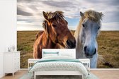 Behang - Fotobehang IJslandse pony's in een weiland - Breedte 450 cm x hoogte 300 cm