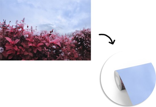 Papier peint photo peint photo vinyle - Fleurs dans la brume largeur 420 cm x hauteur 280 cm - Tirage photo sur papier peint (disponible en 7 tailles)