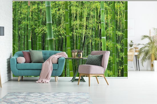 Papier peint - Papiers Papier peint photo - Forêt de bambous - Largeur 390 cm x Hauteur 260 cm