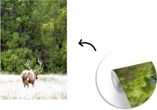 Behang - Fotobehang Hert - Gras - Bos - Breedte 160 cm x hoogte 240 cm
