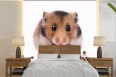 Behang - Fotobehang hamster eet zaden - Breedte 280 cm x hoogte 280 cm