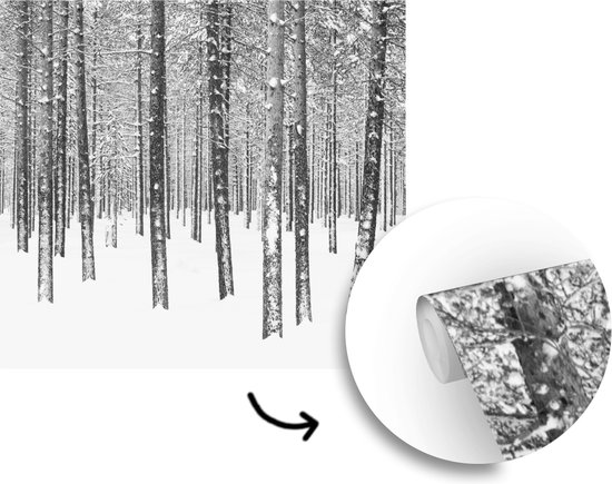 Behang - Fotobehang Dennenbomen in de sneeuw - Breedte 280 cm x hoogte 280 cm