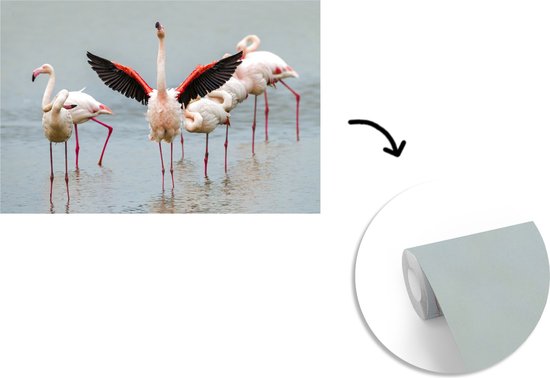 Flamingo qui s'étend 330x220 cm