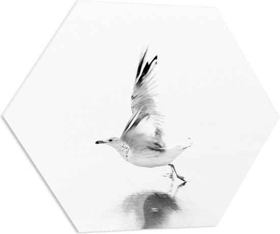 WallClassics - PVC Schuimplaat Hexagon - Vliegende Witte Vogel over het Water - 70x60.9 cm Foto op Hexagon (Met Ophangsysteem)