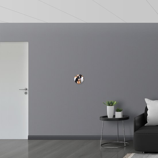 WallClassics - Muursticker Cirkel - Onschuldige Herder Puppy - 20x20 cm Foto op Muursticker