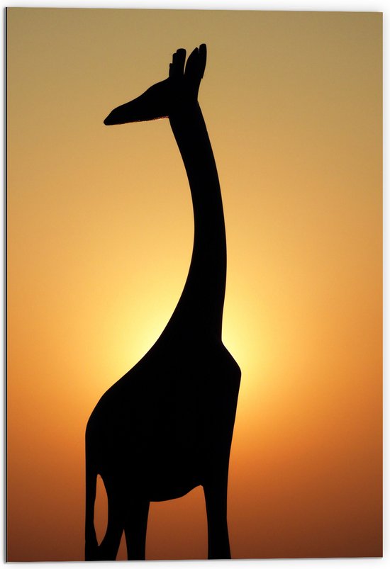 WallClassics - Dibond - Silhouet van Giraffe bij Feloranje Lucht - 70x105 cm Foto op Aluminium (Met Ophangsysteem)