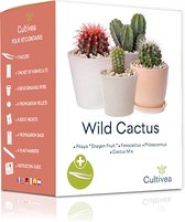 Groei je eigen wilde cactus - starter kit