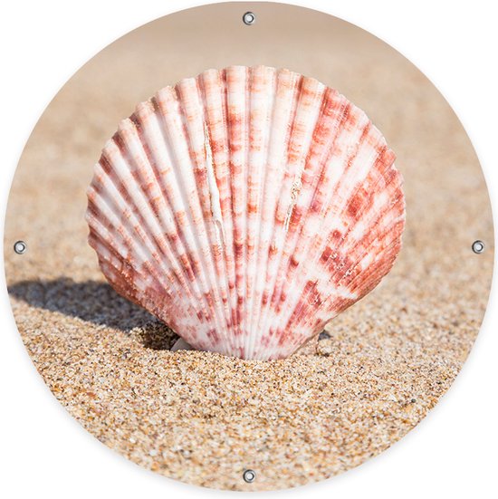Ronde Tuinposter Seashell
