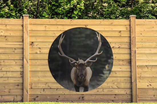 Garden Circle Cerf - Arbre - Bois - 150x150 cm - Affiche de Jardin Ronde - Extérieur