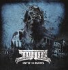 Soilid - Into The Ruins (CD)