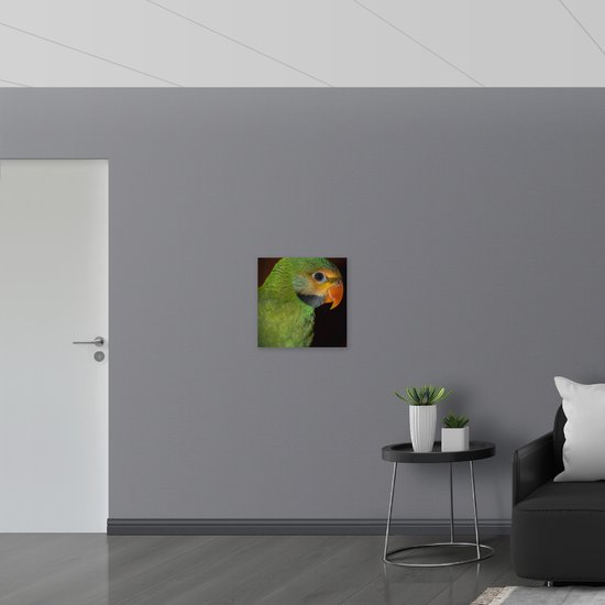 WallClassics - Panneau en mousse PVC - Perruche verte avec bec Oranje - Photo 50x50 cm sur panneau en mousse PVC