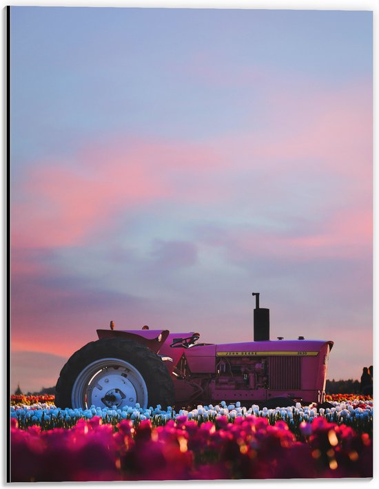 WallClassics - Dibond - Roze Tractor in een Bloemenveld - 30x40 cm Foto op Aluminium (Wanddecoratie van metaal)