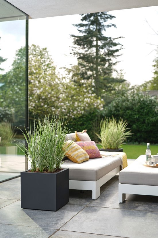 Zwarte vierkante plantenbak met hoge grassoorten op een terras. Naast een loungeset met kussens.